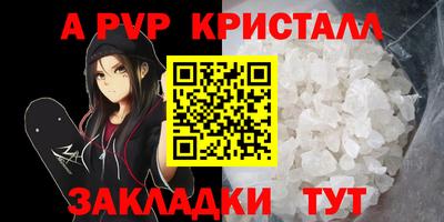 ALPHA PVP Гатчина
