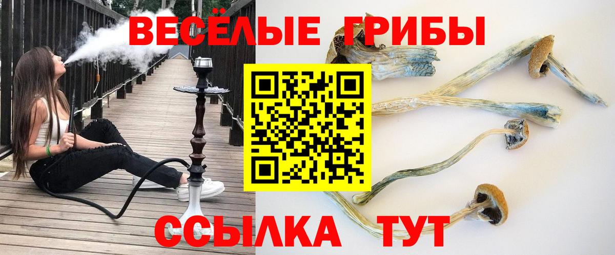 Псилоцибиновые грибы Magic Shrooms Саратов