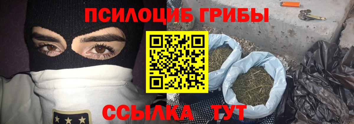 Псилоцибиновые грибы Psilocybe  Вход с VPN  Саратов  Галлюциногенные грибы ЛСД 